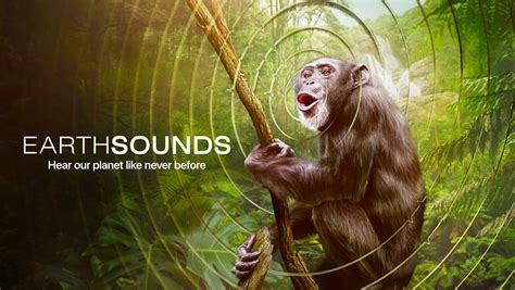 earthsounds torrent